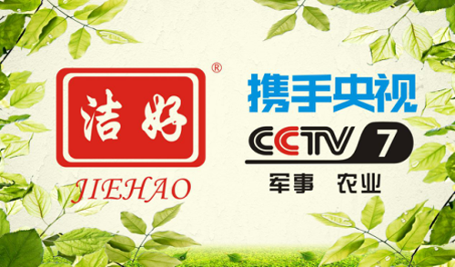 二十余载蓄势：中加买球app哪个最好用启航